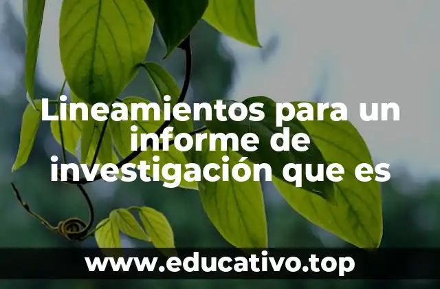 Cómo estructurar un documento que presenta hallazgos investigativos