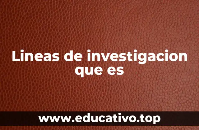 Lineas de investigacion que es