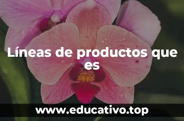 Líneas de productos que es
