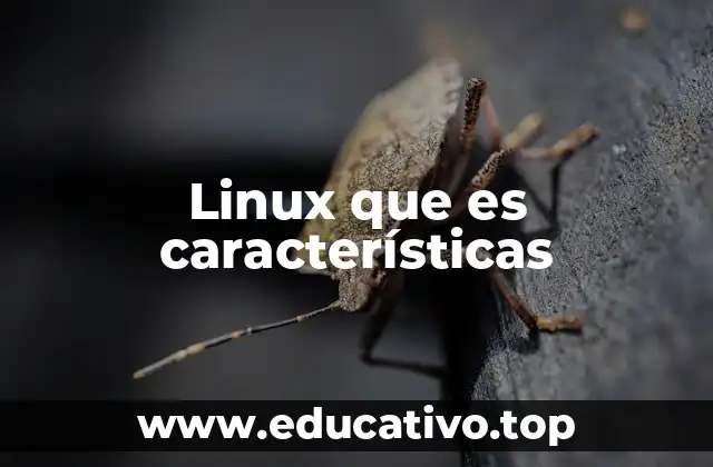 Linux que es características