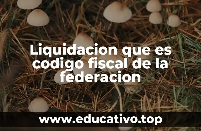Liquidacion que es codigo fiscal de la federacion