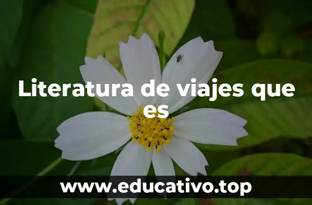 Literatura de viajes que es
