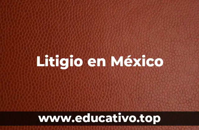 Litigio en México