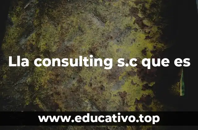 Lla consulting s.c que es