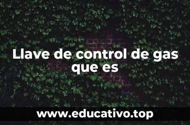 Llave de control de gas que es