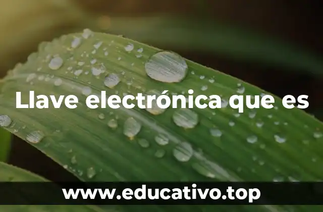 Llave electrónica que es