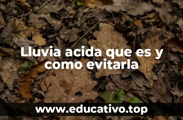Lluvia acida que es y como evitarla