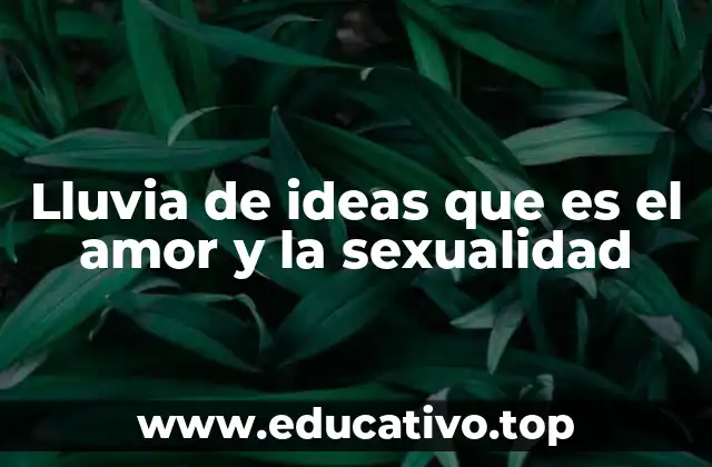 Lluvia de ideas que es el amor y la sexualidad