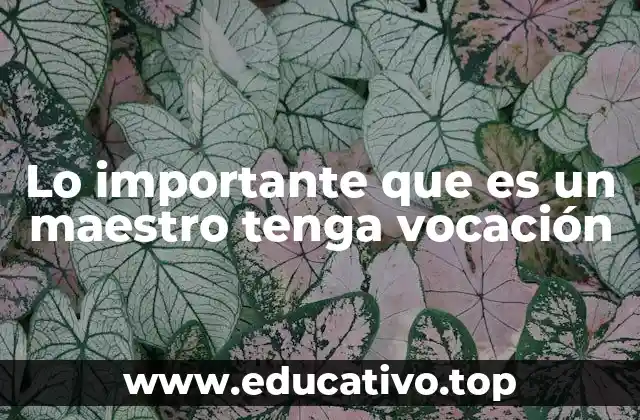Lo importante que es un maestro tenga vocación
