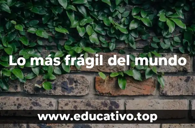 Lo más frágil del mundo