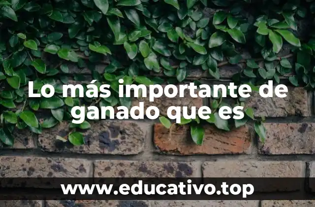 Lo más importante de ganado que es