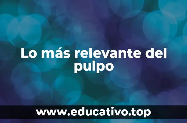 Lo más relevante del pulpo