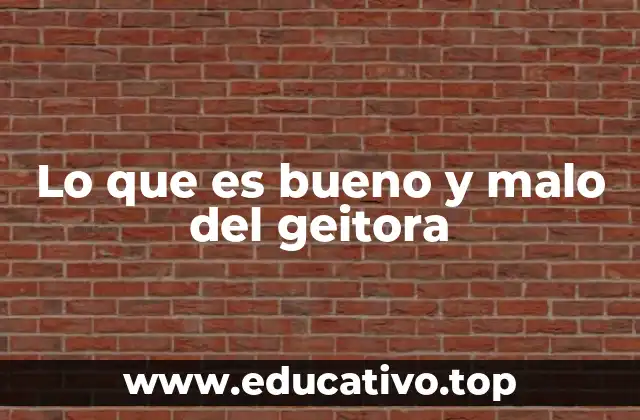 Lo que es bueno y malo del geitora