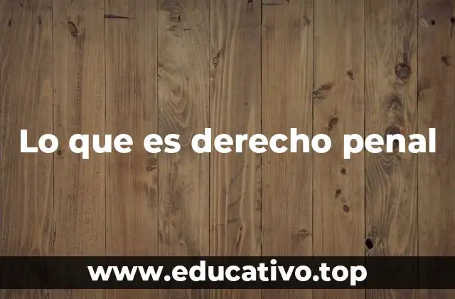 La importancia del derecho penal en la sociedad