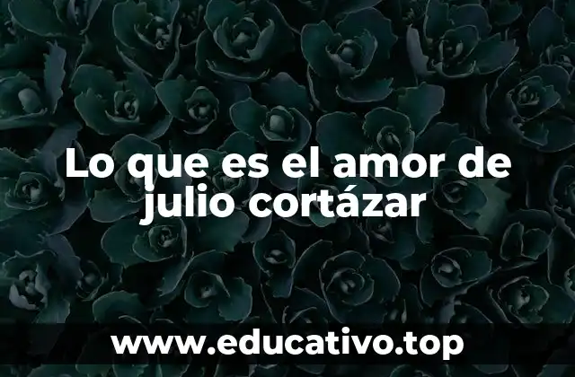 Lo que es el amor de julio cortázar
