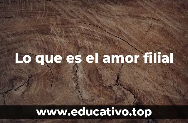 Lo que es el amor filial