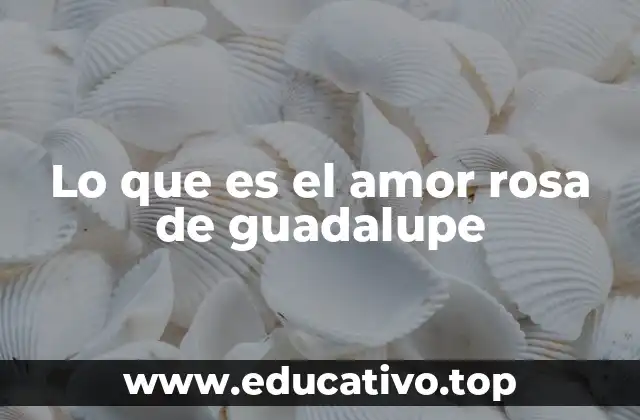 Lo que es el amor rosa de guadalupe