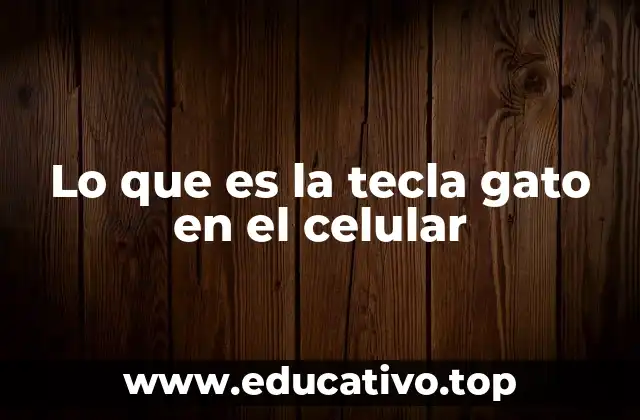 Lo que es la tecla gato en el celular
