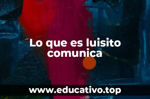 Lo que es luisito comunica