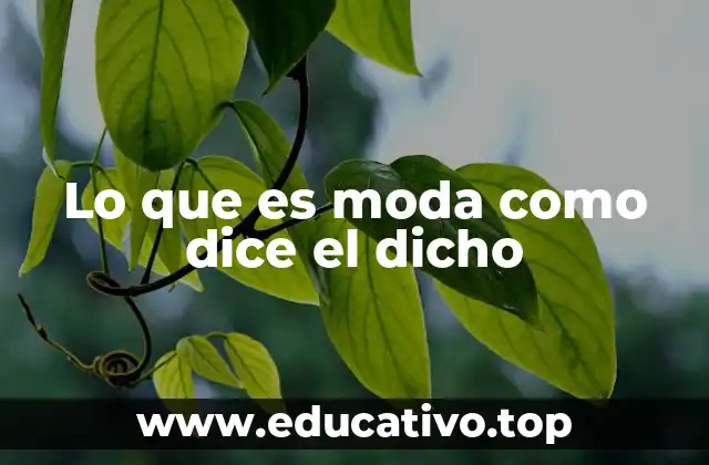 Lo que es moda como dice el dicho