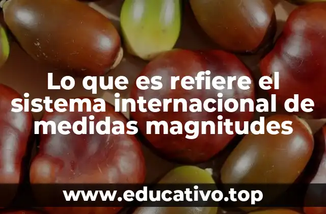 La importancia del sistema internacional en la ciencia y la tecnología