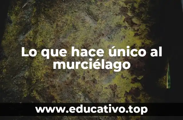 Lo que hace único al murciélago