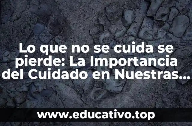 Lo que no se cuida se pierde: La Importancia del Cuidado en Nuestras Vidas