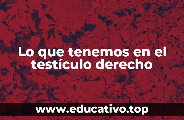 Lo que tenemos en el testículo derecho