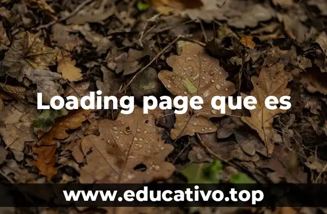 Loading page que es