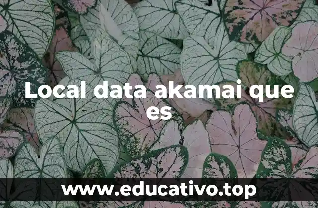 Local data akamai que es