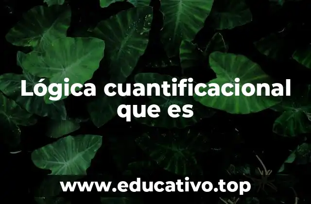 Fundamentos de la lógica cuantificacional