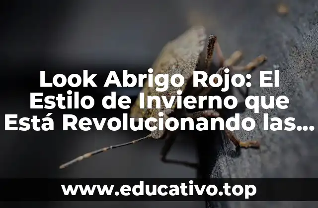 Look Abrigo Rojo: El Estilo de Invierno que Está Revolucionando las Pasarelas