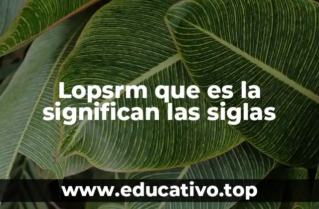 Lopsrm que es la significan las siglas