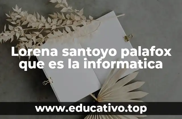 Lorena santoyo palafox que es la informatica
