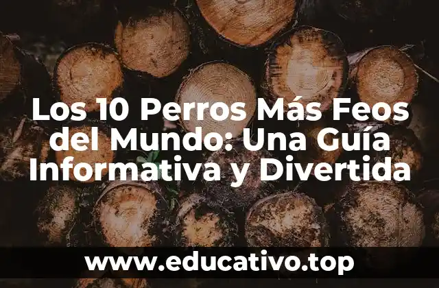 Los 10 Perros Más Feos del Mundo: Una Guía Informativa y Divertida