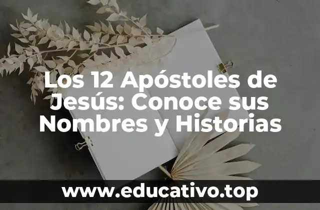 Los 12 Apóstoles de Jesús: Conoce sus Nombres y Historias