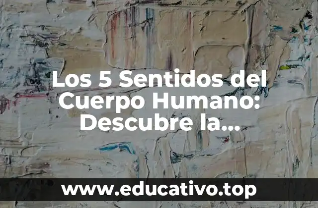 Los 5 Sentidos del Cuerpo Humano: Descubre la Complejidad de la Percepción
