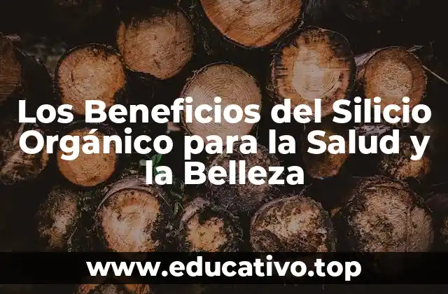 Los Beneficios del Silicio Orgánico para la Salud y la Belleza