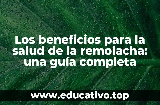 Los beneficios para la salud de la remolacha: una guía completa