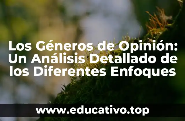 Los Géneros de Opinión: Un Análisis Detallado de los Diferentes Enfoques