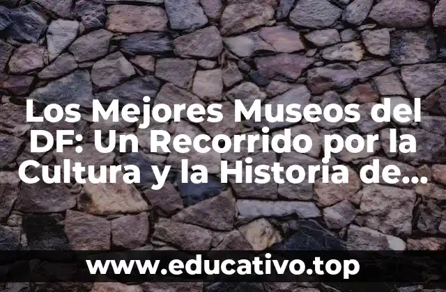 Los Mejores Museos del DF: Un Recorrido por la Cultura y la Historia de la Ciudad de México
