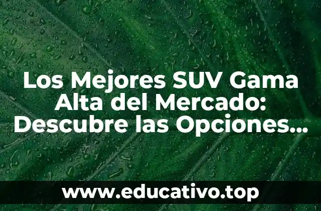 Los Mejores SUV Gama Alta del Mercado: Descubre las Opciones Más Exclusivas