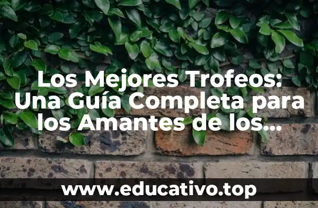 Los Mejores Trofeos: Una Guía Completa para los Amantes de los Reconocimientos