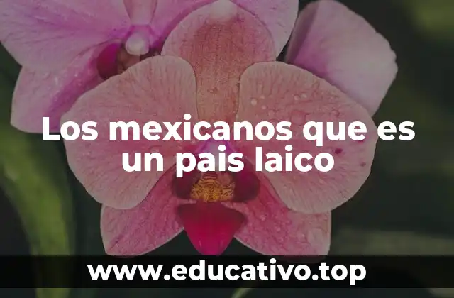 Los mexicanos que es un pais laico