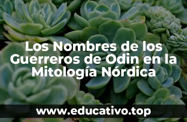 Los Nombres de los Guerreros de Odin en la Mitología Nórdica