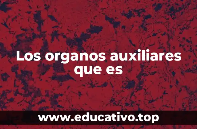 Los organos auxiliares que es