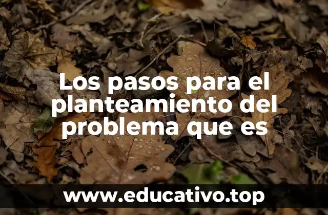 Los pasos para el planteamiento del problema que es