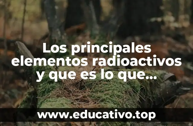 Los principales elementos radioactivos y que es lo que provocan