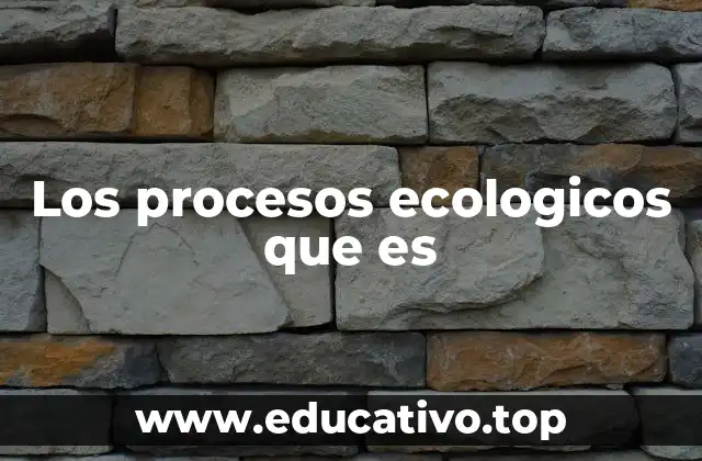 Los procesos ecologicos que es