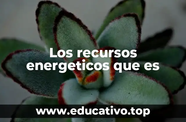 Los recursos energeticos que es